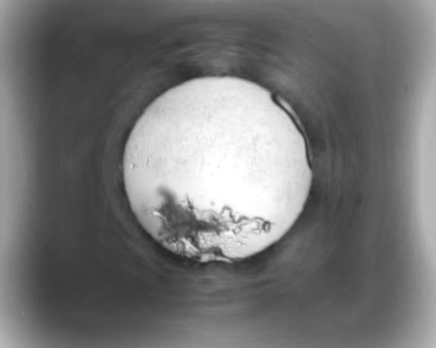 X0000088151009200706042024