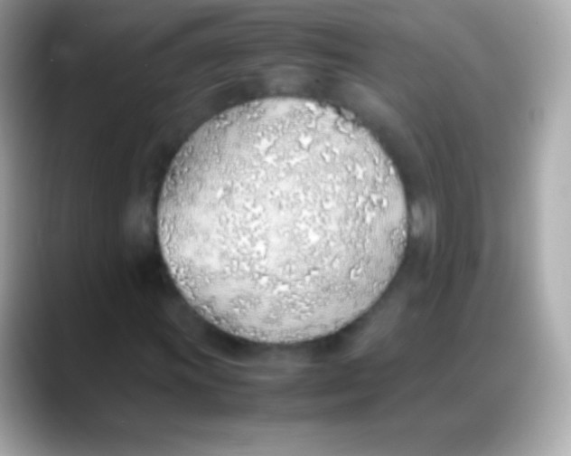 X0000088151011200706042024