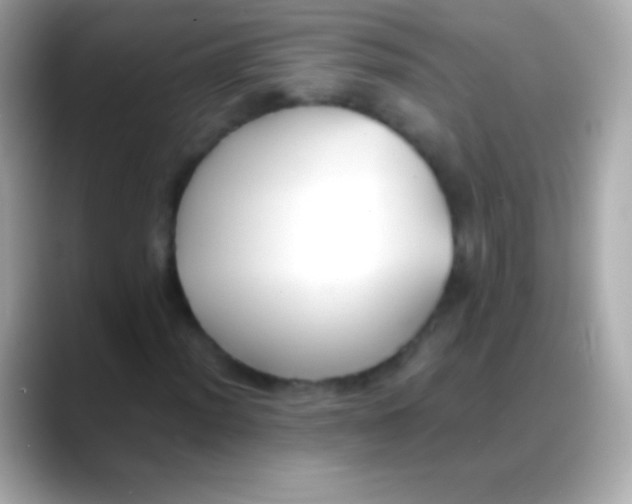 X0000088151012200706042025