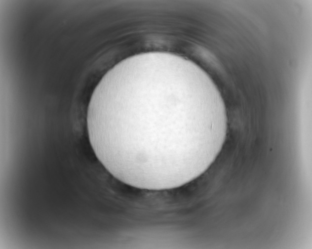 X0000088151015200706042025