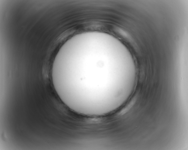 X0000088151017200706042025