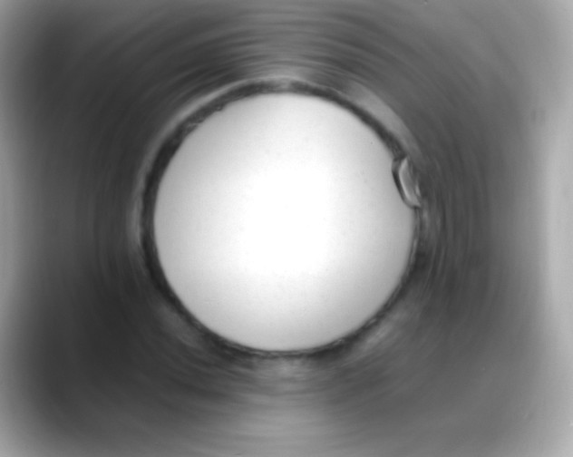 X0000088151020200706042025