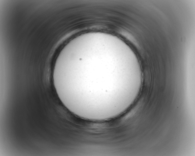 X0000088151021200706042025