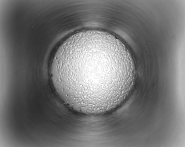 X0000088151022200706042025