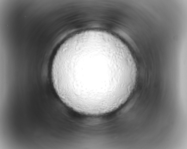 X0000088151023200706042025