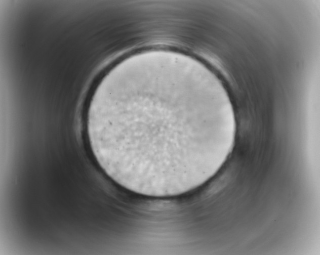 X0000088151024200706042025