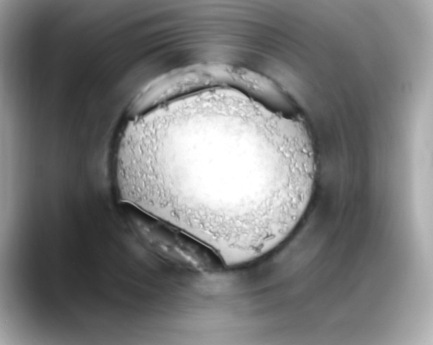 X0000088151026200706042025