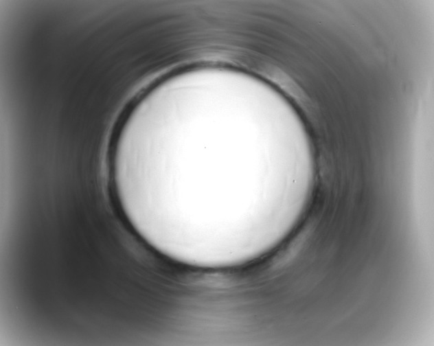 X0000088151028200706042025