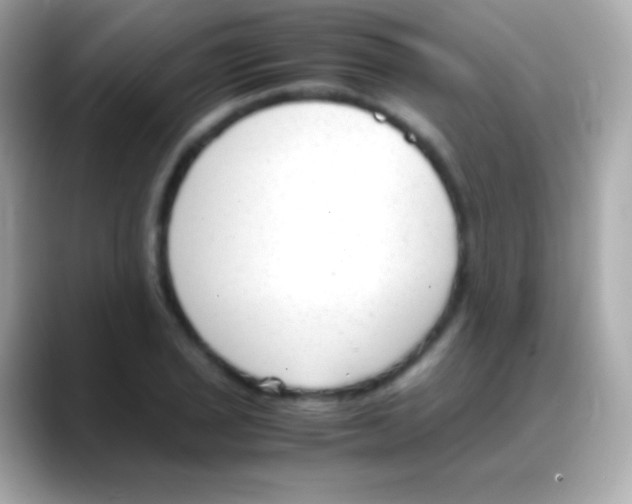 X0000088151029200706042025