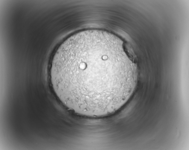 X0000088151030200706042025