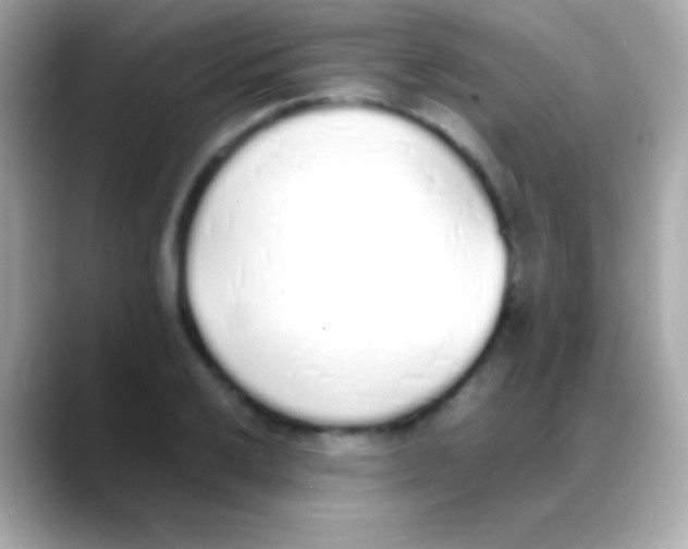 X0000088151032200706042025