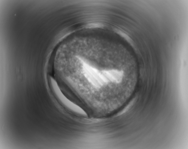 X0000088151034200706042025