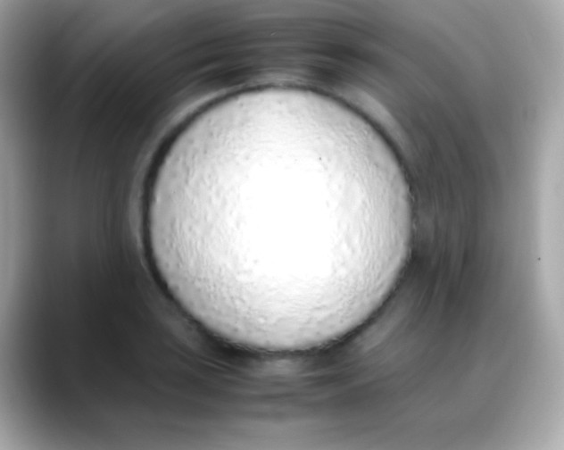 X0000088151035200706042025