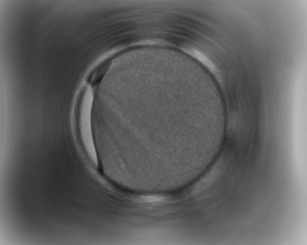 X0000088151037200706042025