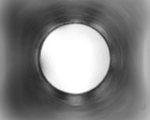 X0000088151039200706042025