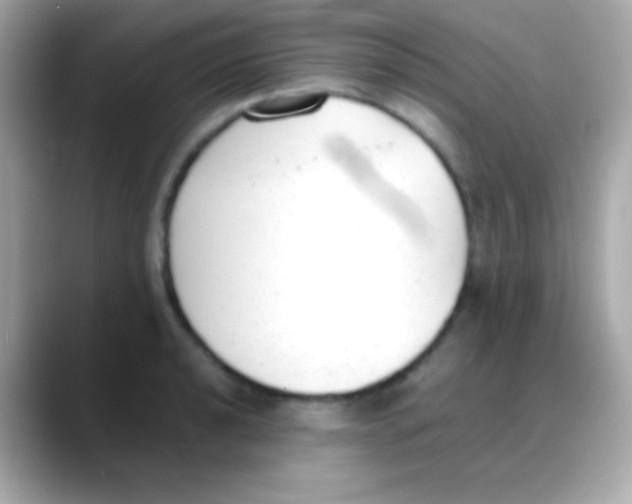 X0000088151040200706042025