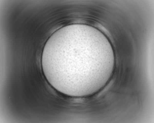 X0000088151041200706042025