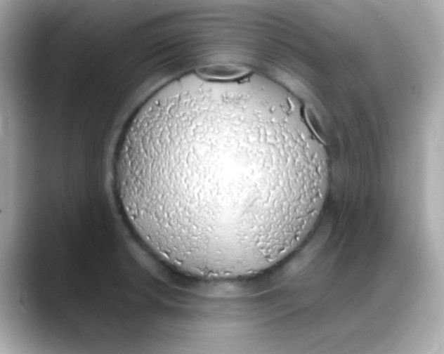 X0000088151042200706042025