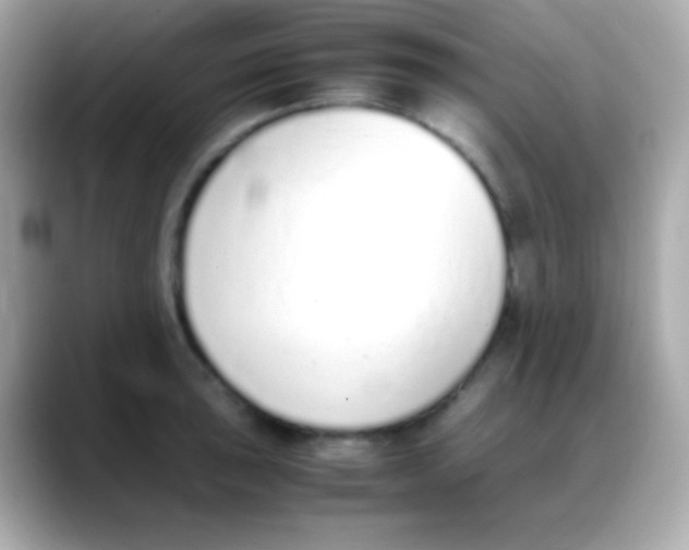 X0000088151043200706042025