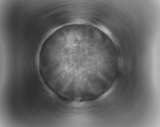 X0000088151046200706042025