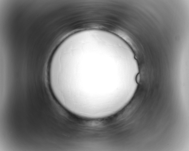 X0000088151047200706042025