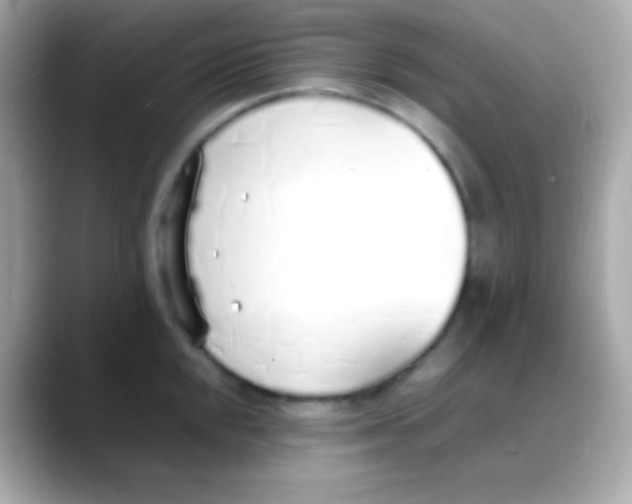 X0000088151048200706042025