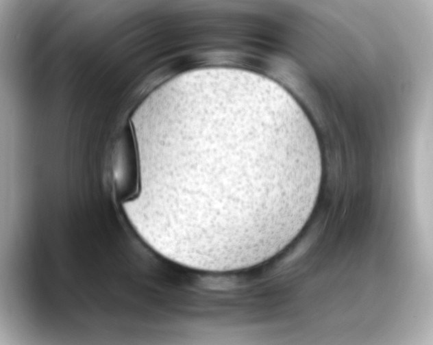 X0000088151049200706042025