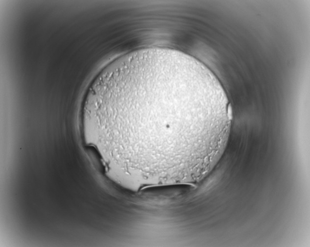 X0000088151050200706042025