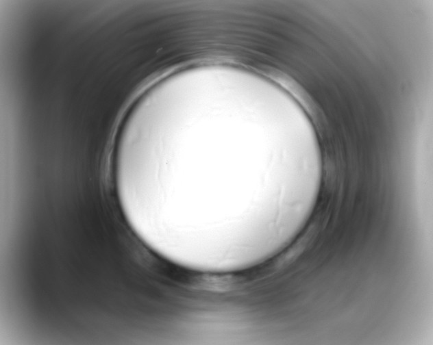 X0000088151052200706042025