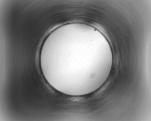 X0000088151053200706042025