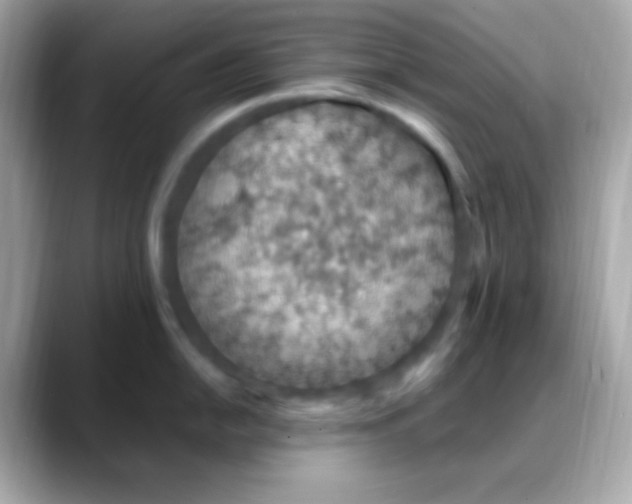 X0000088151054200706042025