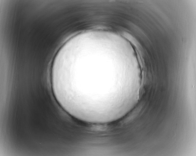 X0000088151055200706042025