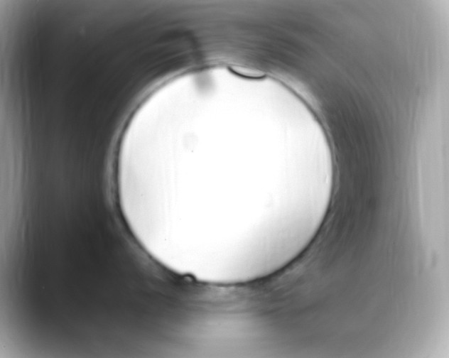 X0000088151056200706042025