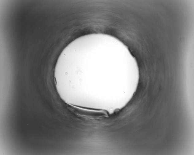 X0000088151057200706042024