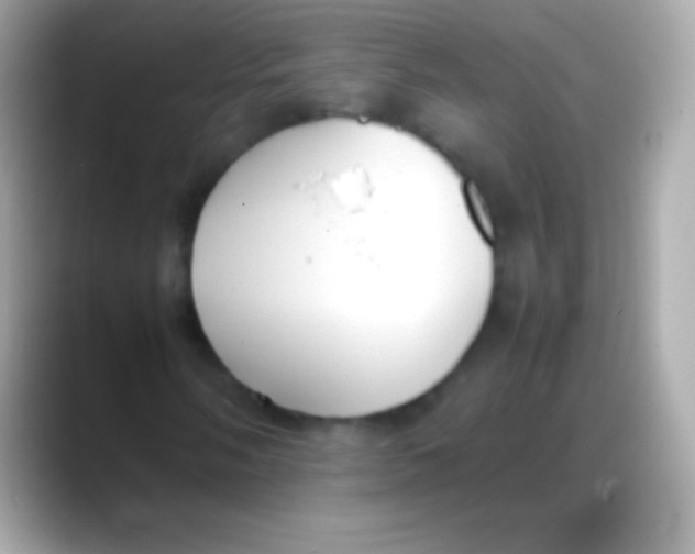 X0000088151058200706042024