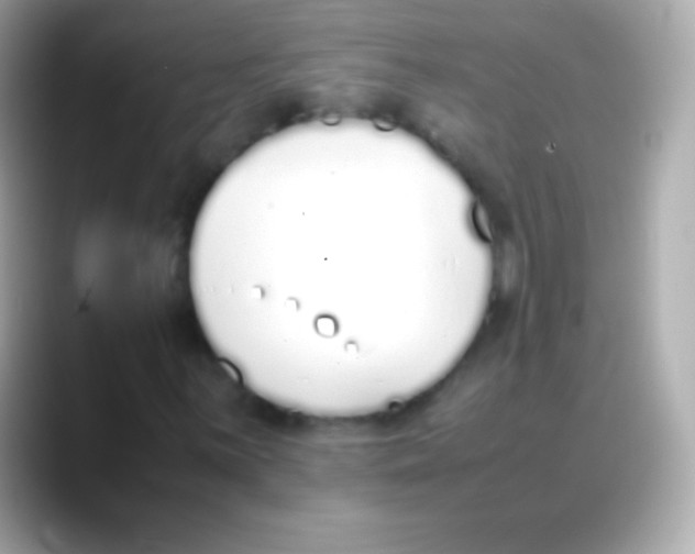 X0000088151059200706042024