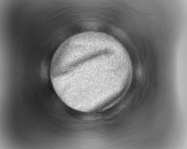 X0000088151060200706042024