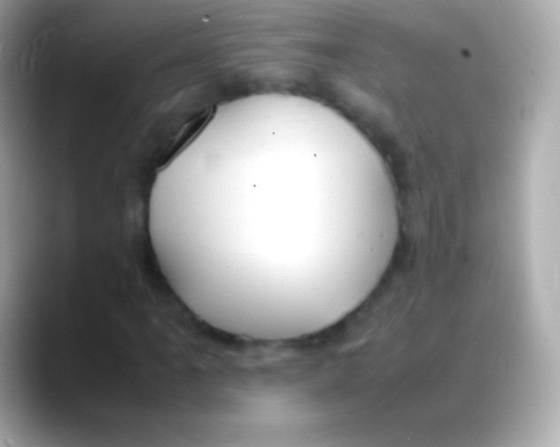 X0000088151061200706042024