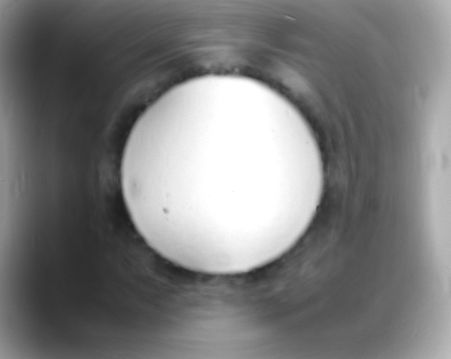 X0000088151063200706042024