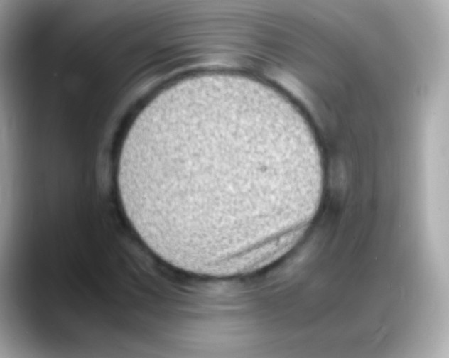 X0000088151067200706042024