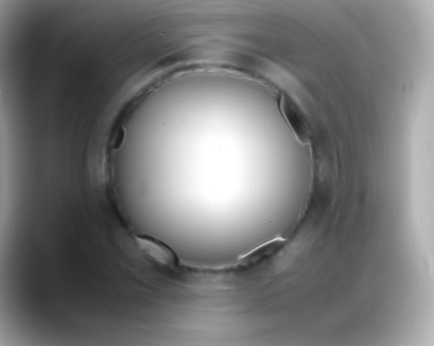 X0000088151069200706042024