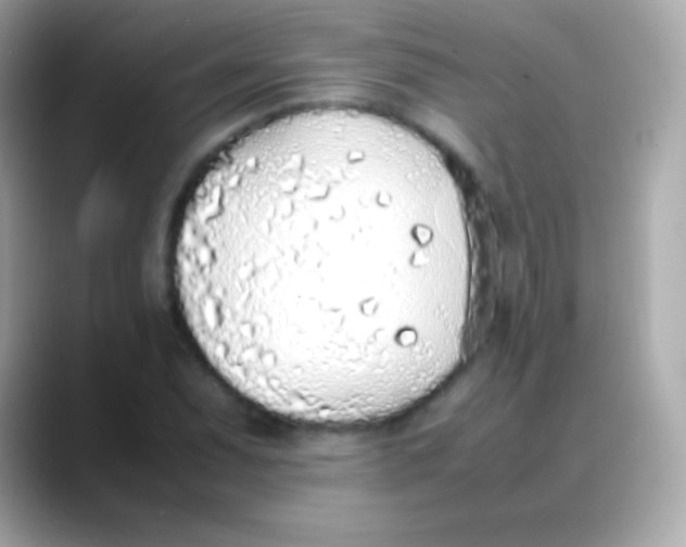 X0000088151071200706042024