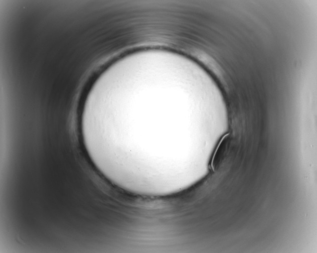 X0000088151072200706042024