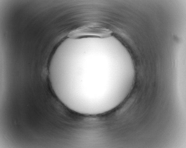 X0000088151073200706042024