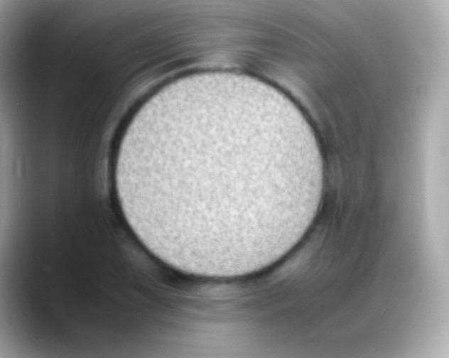 X0000088151075200706042024