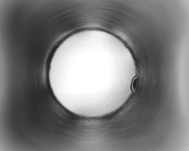 X0000088151076200706042024