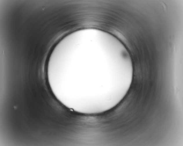 X0000088151082200706042024