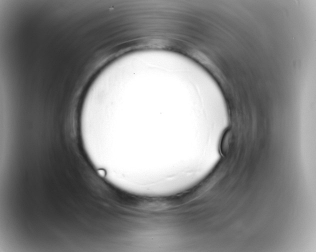 X0000088151083200706042024