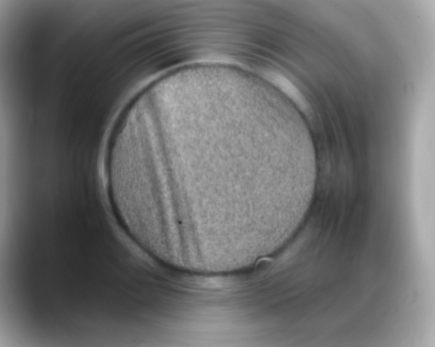 X0000088151084200706042024