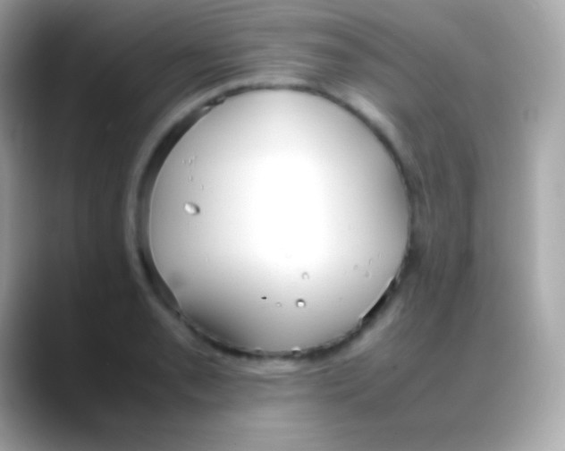 X0000088151085200706042024